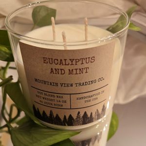 Eucalyptus Mint 3-Wicks, 14 oz